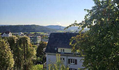 Renovated, centrally located 1-bedroom apartment with a balcony and mountain views.