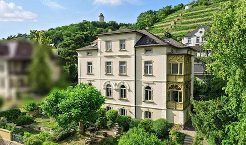 Wohnen am Weinberg: Stilvolle 2-Zimmer nach Renovierung