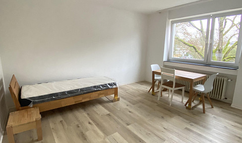 Bright, well-designed 1-room apartment with pantry kitchen