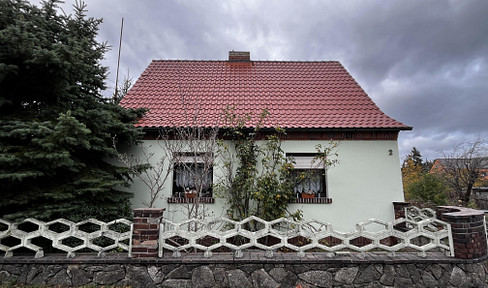 Forced sale detached house in Dahlen/ Schmannewitz