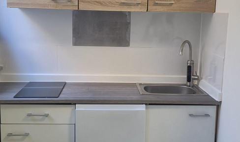 One Room Appartment with Toilette, Shower, Kitchen etc inside