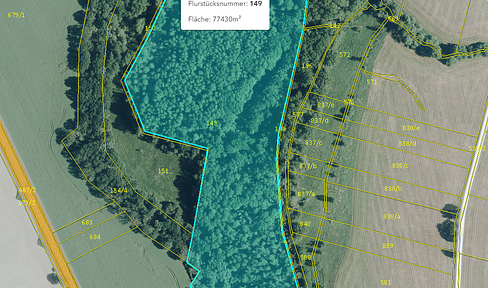 125,660 square meters of forest land near Leipzig / forest - forest - private forest - forest area