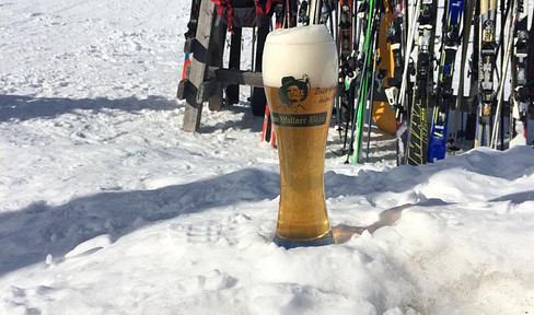 2 Zi. Ferien-Wohnung auf der Gerlosplatte