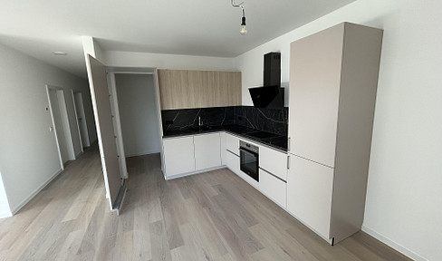 First occupancy: Premium 3-room new construction apartment, A+ rating. South-facing balcony with views of the fortress. Fitted kitchen and elevator.