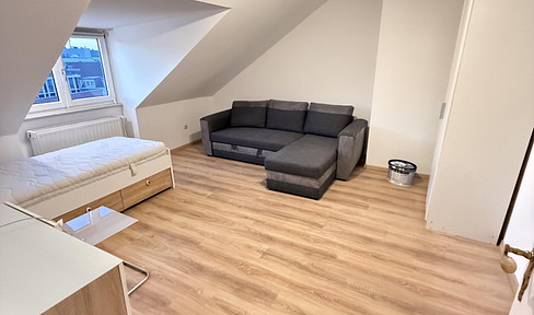 Bright, renovated 1-bedroom apartment incl. modern separate kitchen