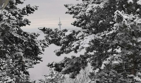 Fantastic multi-generation house: pool, panoramic view & oasis of peace - only 30 min. from FFM/Wiesbaden