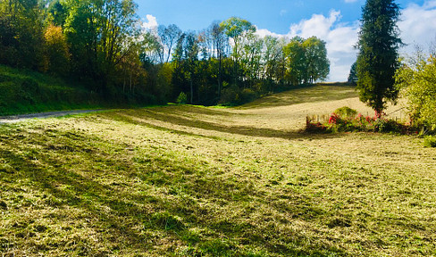 Großes Grundstück in sonniger Ruhelage