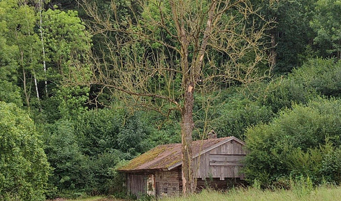 Grundstück mit Altbestand + Weiher/Wiese + großer Waldanteil – Birnkofen (Adlkofen)