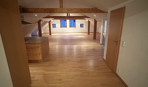 VIB City Square! XXL roof terrace Luxury kitchen