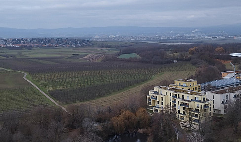 2 ZKB Balkon / Keller / PKW Stellplatz