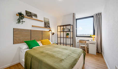 Modern, bright, NEW renovated, fully furnished flat. + household articles + bicycle, central in Mainz