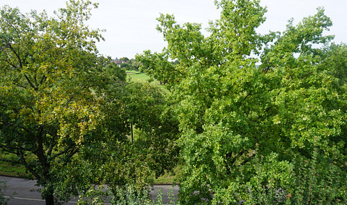 Great view of the countryside