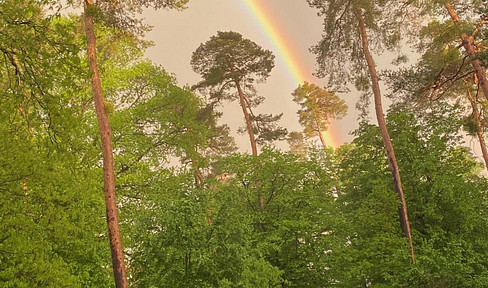 KA-Nordstadt 4 Zi.-ETW im 1. OG zu verkaufen