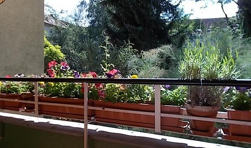 Available, conveniently located and yet idyllic - lots of nature, with parking space