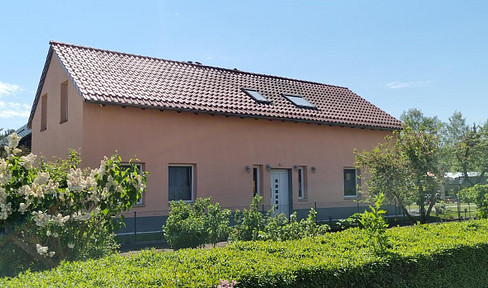 Your new home for dog and cat and plenty of space to play