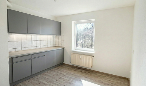3 Zimmer Wohnung zu vermieten inkl. option. neuer Einbauküche