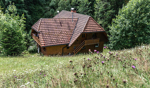 FREISTEHENDES HAUS IM SCHWARZWALD MITTEN IN DER NATUR – Mit Bach, Wiese & Wald + Gewerbepotential