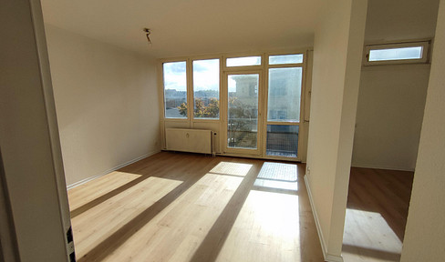 First occupancy after renovation: Bright 1-room apartment with charming layout