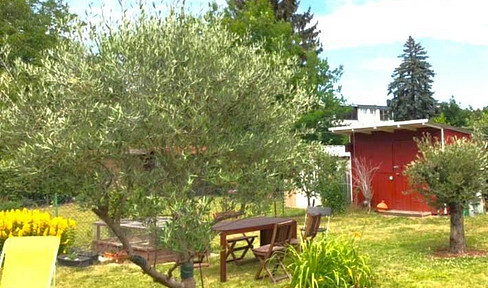 Small green oasis in the city