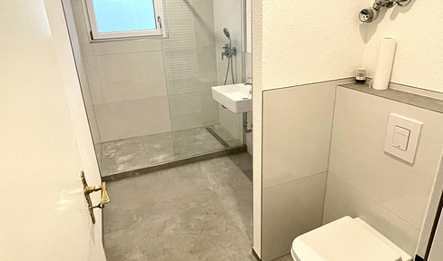 Helle 2-Zimmer-Wohnung mit Balkon in der Stadtmitte Neu-Ulm, sofort bezugsreif