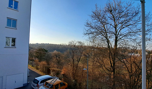 Rundum Grün in Stgt-Killesberg, helle, ruhige 3Zi-Whg, mit Balkon u. Aussicht, a.W. Garage