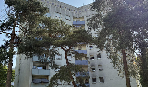 quietly located 3-room apartment first floor Hanau Wolfgang commission-free