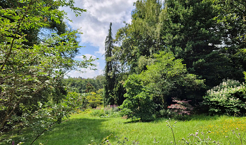 Large plot of land with building potential – located in a natural, unspoiled area.