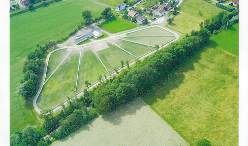 Pferdegestüt mit Wohnhaus Nähe Ried (Oberösterreich) zu verkaufen