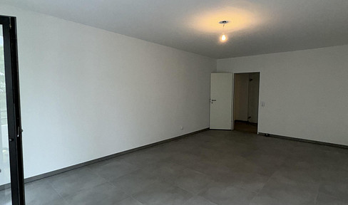 completely renovated 1-room apartment with EBK, balcony and TG