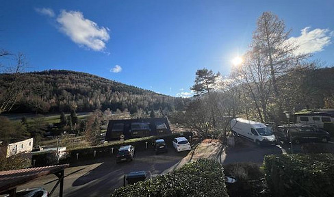 Frisch renoviertes 1-Zimmer-App mit neuer EBK, Balkon & Stellplatz