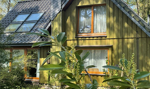 Living in the forest / Kirchseelte Siek