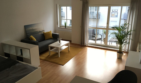 Attraktives, möbliertes und renoviertes 1- Zi Appartement nähe Westpark