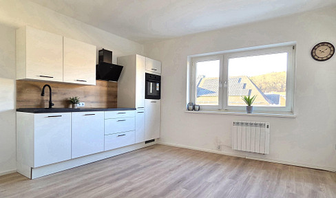 Attractive condominium | first occupancy after renovation | new kitchen | loggia | shared use of garden