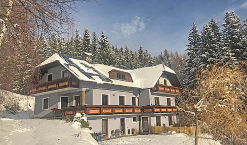Styrian Alps with southern exposure: Residence with tourism option in the ski and hiking area