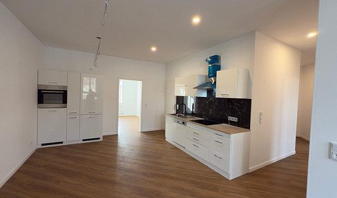 Freshly renovated 4-room apartment with modern EBK