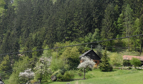 Wooden house in absolutely quiet location with its own forest, springs and meadows/utility areas - private sale