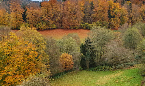 Attraktive lichtdurchflutete Maisonette-Wohnung