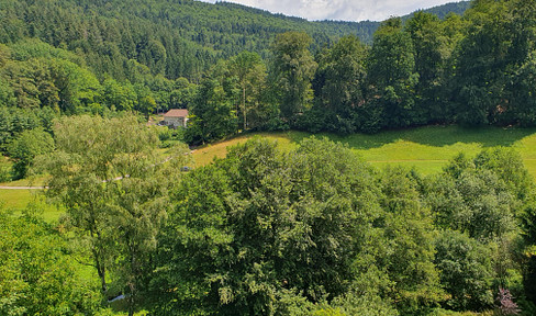 Attraktive lichtdurchflutete Maisonette-Wohnung