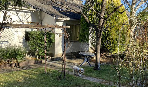 Beautiful property with older house in Gumpoldskirchen