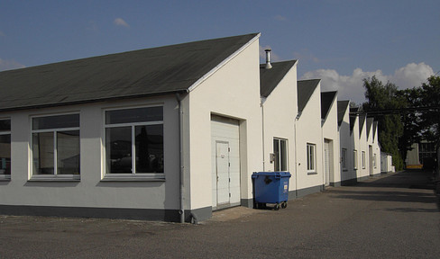 Gewerbehalle 680m², 5,80€/m² kalt (teilbar 500m² + 180m²)