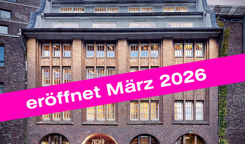 Office space in the sugar warehouse (2nd floor, 225 square meters, 17 workstations).