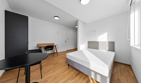 4.07: kleine, feine Wohnung (möbliert) mit französischem Balkon zum Hof (Süden)