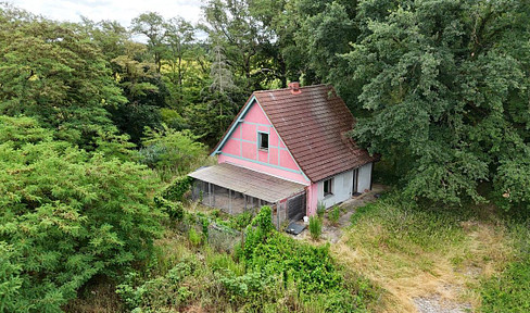 Former nursery with residential building on the edge of the forest in Dessau-Kochstedt