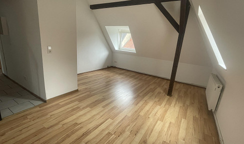 Renovated 2-room apartment for rent in Osnabrück Schinkel