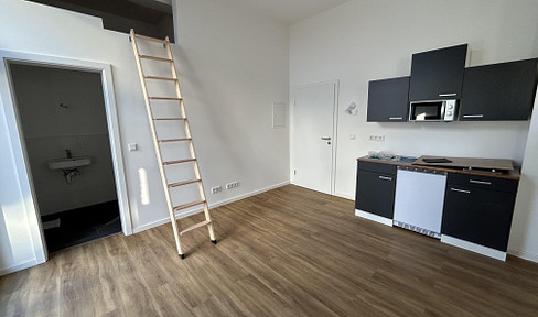 Furnished 1-room apartment in Ludwigshafen