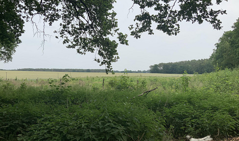 Preisreduzierung - 19700 m² -  Kapitalanlage m² - Preis 8,62 €