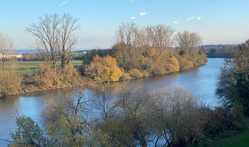 Einzigartige Perle in Seligenstadt am Main