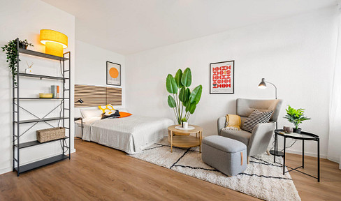 Furnished 1 room apartment for rent in Offenhausen