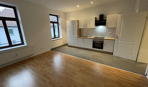 Moderne 2-Zimmer-Wohnung in Stötteritz – frisch saniert & mit neuer Einbauküche