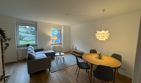 Newly furnished, completely renovated 1.5-room apartment with roof terrace